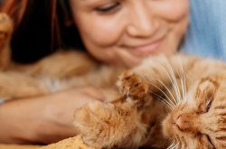 ➔ ¿Quién se queda con el peludo? Divorcio y mascotas